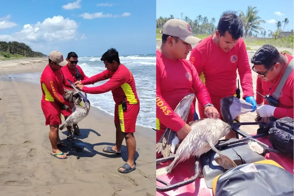 Imagen relacionada a la nota