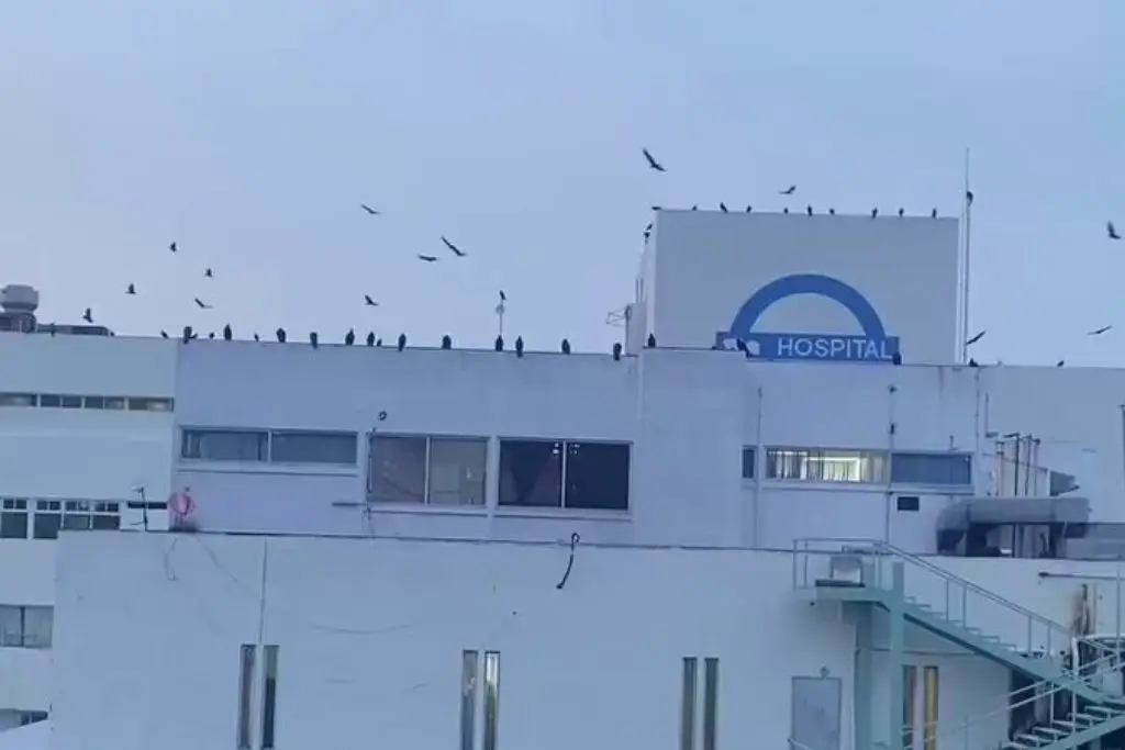 Imagen relacionada a la nota