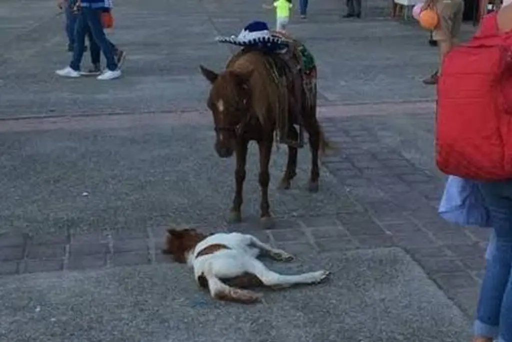 Imagen relacionada a la nota