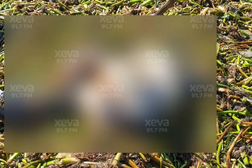 Imagen relacionada a la nota