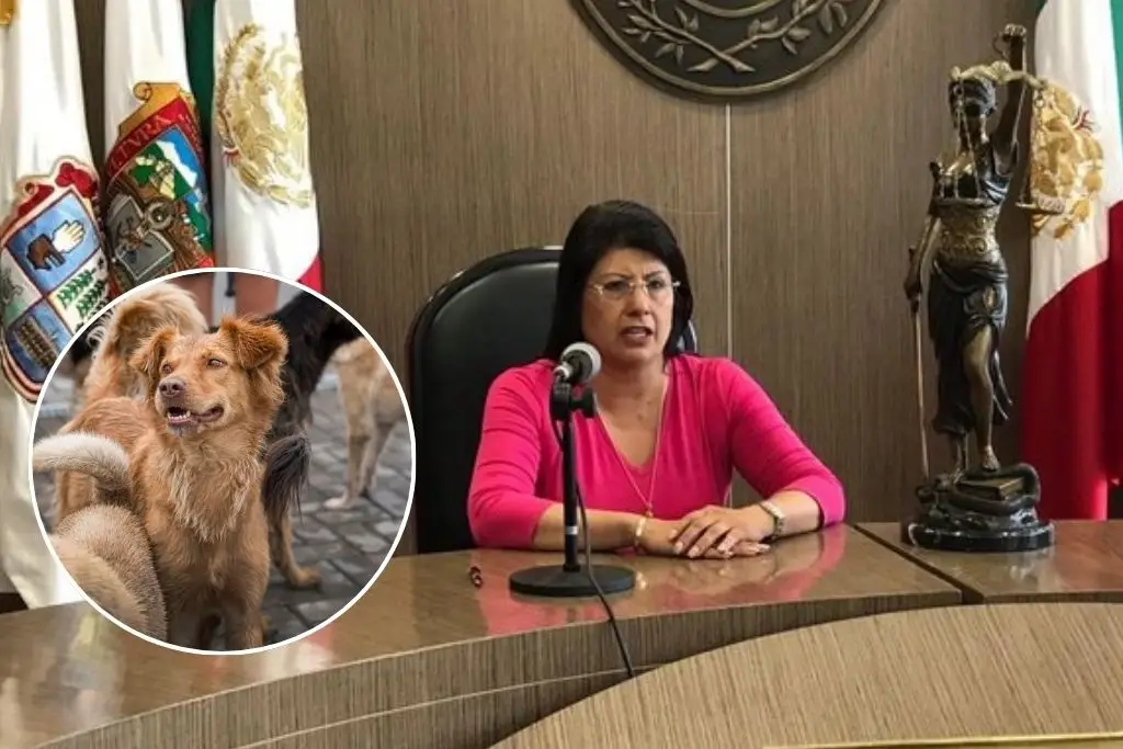 Imagen relacionada a la nota