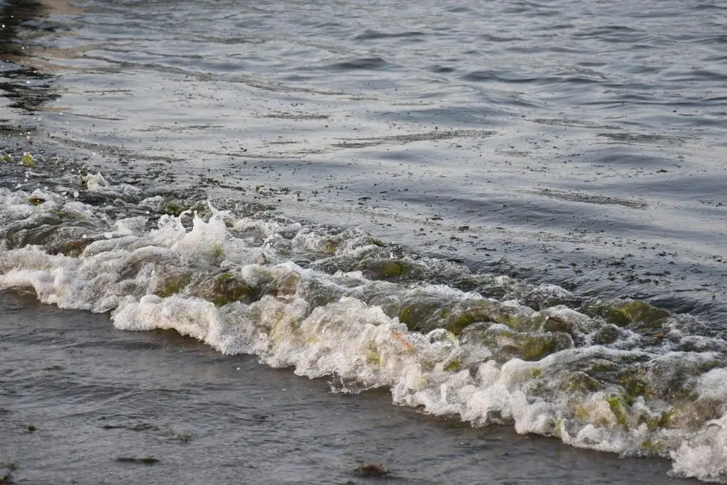 Imagen relacionada a la nota