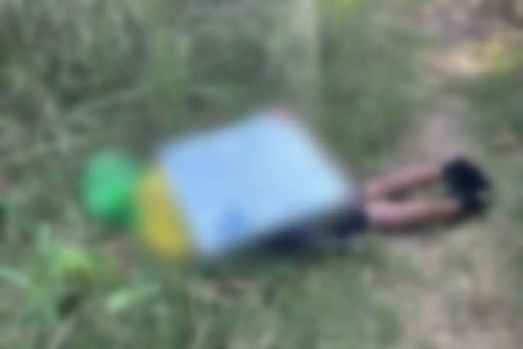 Imagen relacionada a la nota