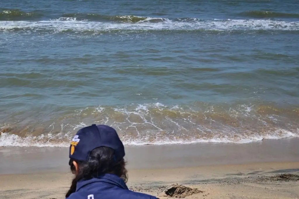 Imagen relacionada a la nota