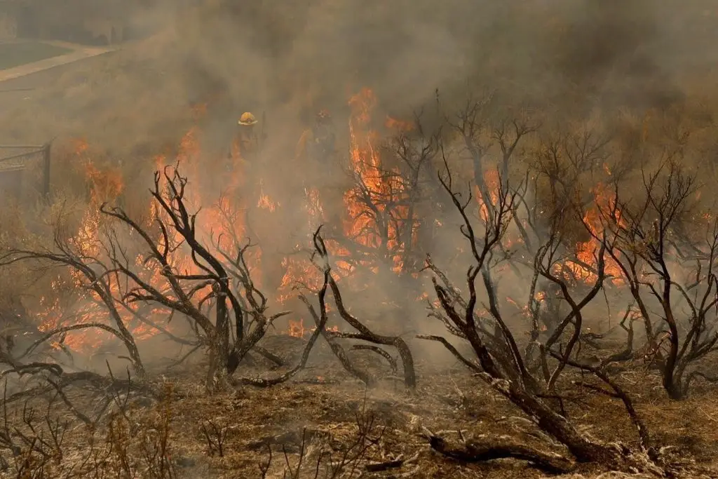 Imagen relacionada a la nota
