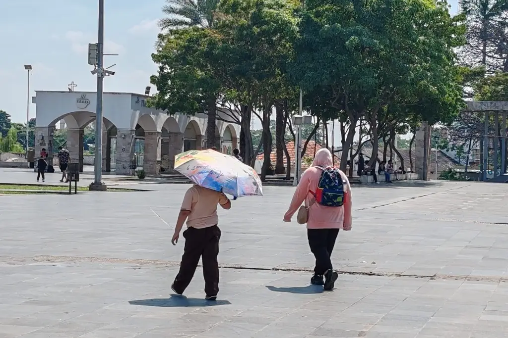 Imagen relacionada a la nota