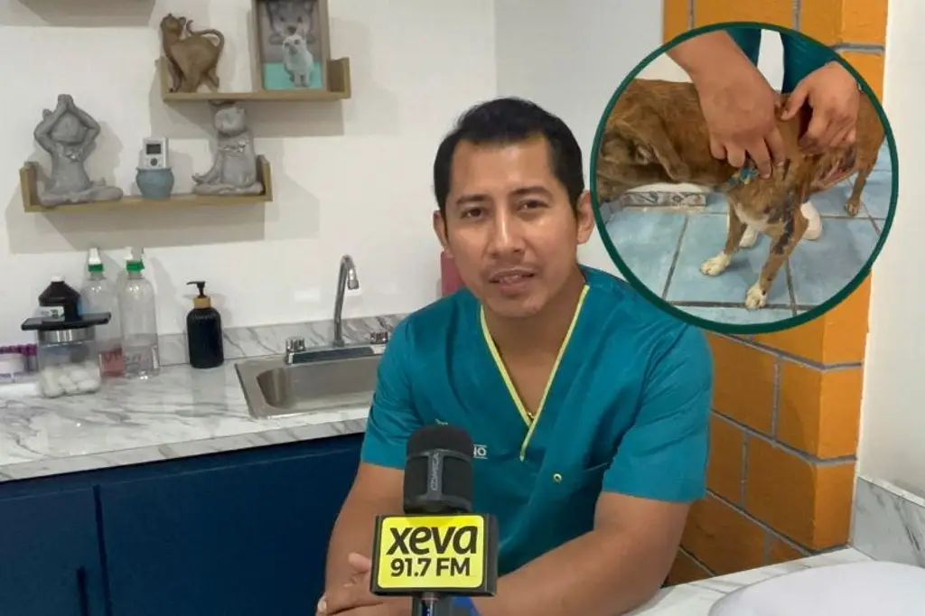 Imagen relacionada a la nota