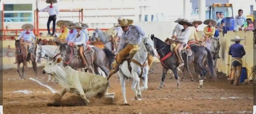 Imagen relacionada a la nota