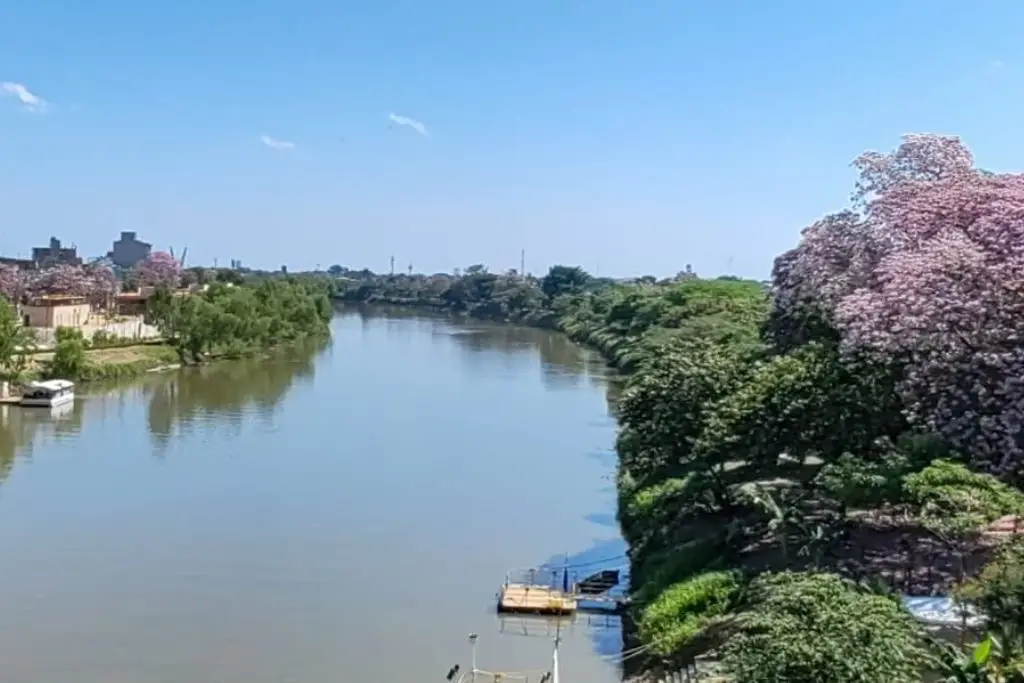 Imagen relacionada a la nota