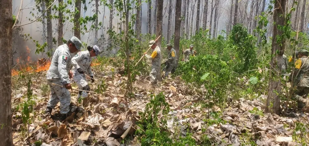 Imagen relacionada a la nota