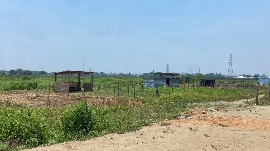 Imagen relacionada a la nota