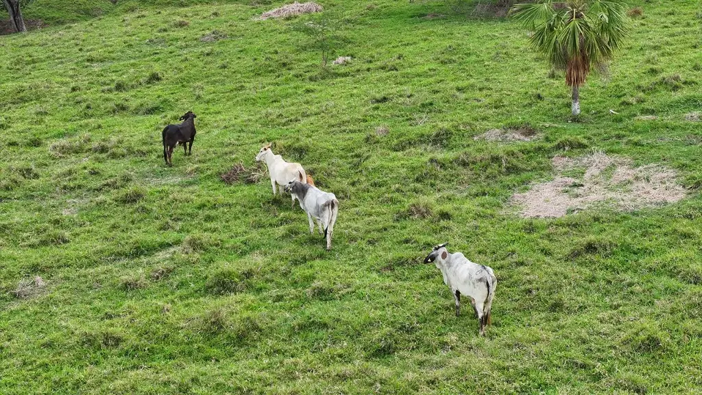 Imagen relacionada a la nota