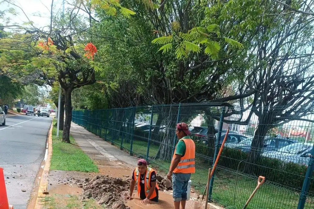 Imagen relacionada a la nota