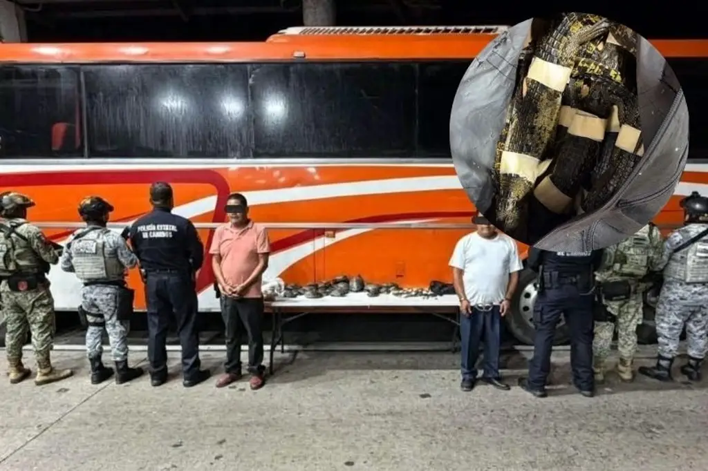 Imagen relacionada a la nota
