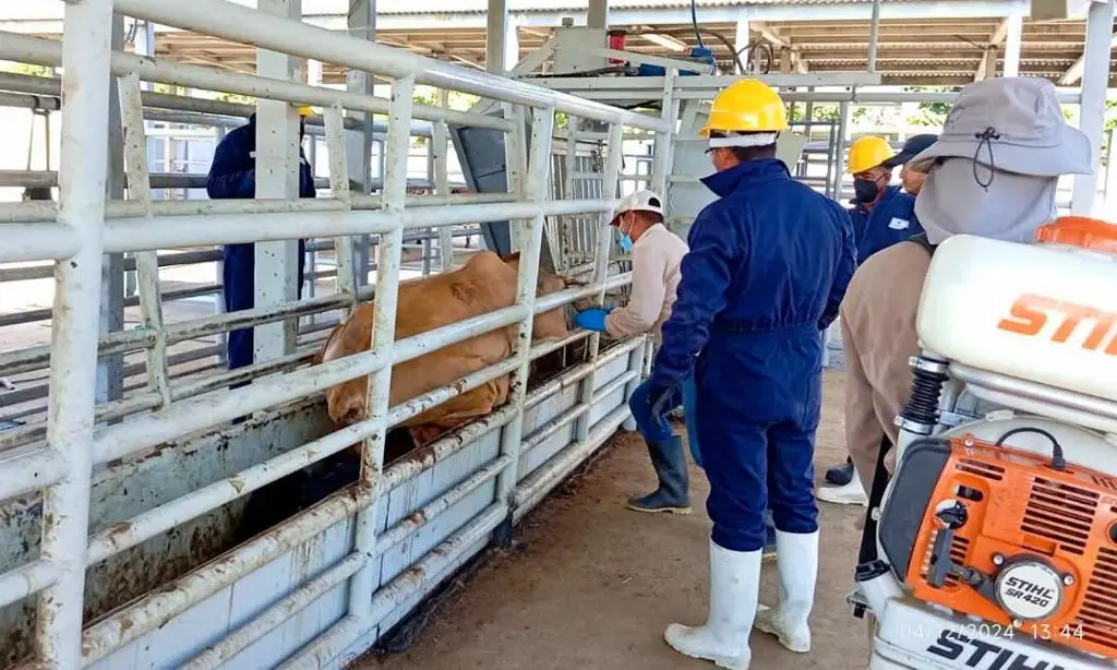 Imagen relacionada a la nota