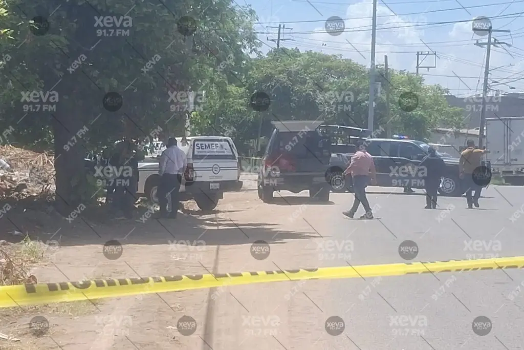 Imagen relacionada a la nota