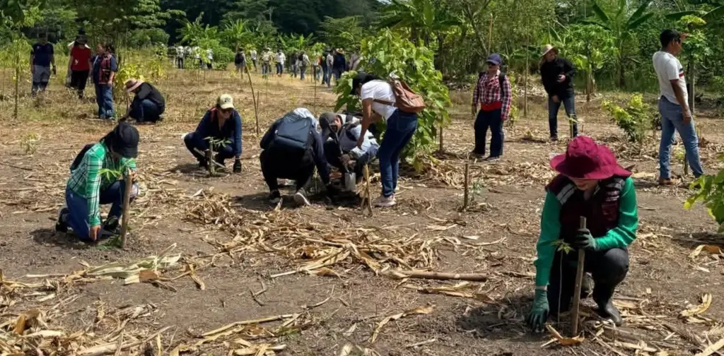 Imagen relacionada a la nota