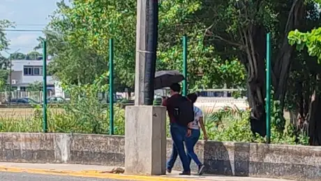 Da clic para leer