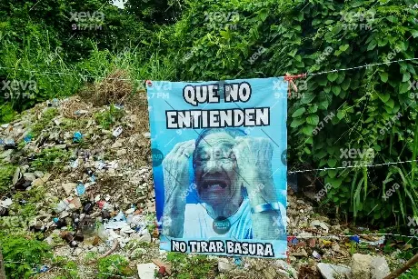 Da clic para leer