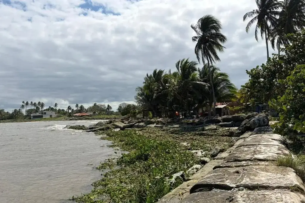 Participa en el sondeo