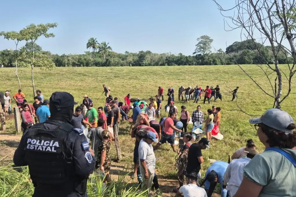 Participa en el sondeo