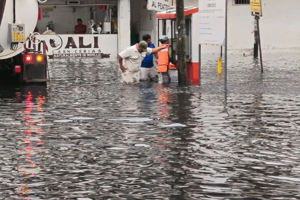 Participa en el sondeo