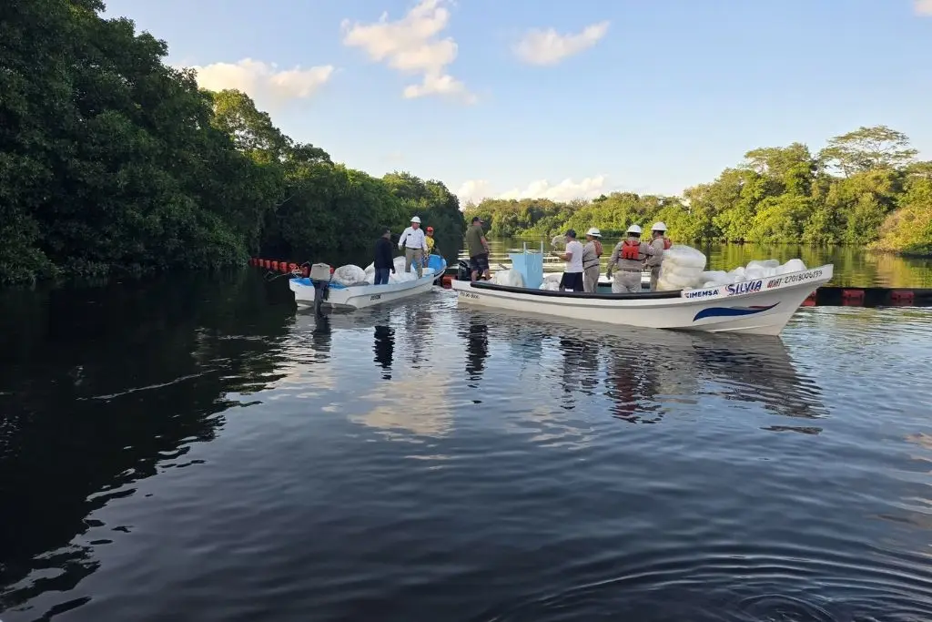 Participa en el sondeo