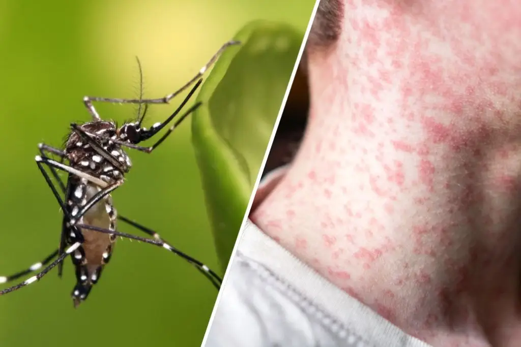 Participa en el sondeo