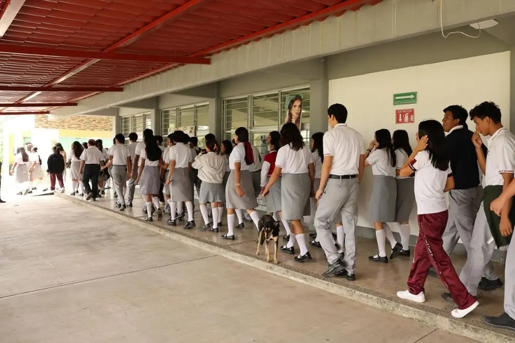 Participa en el sondeo