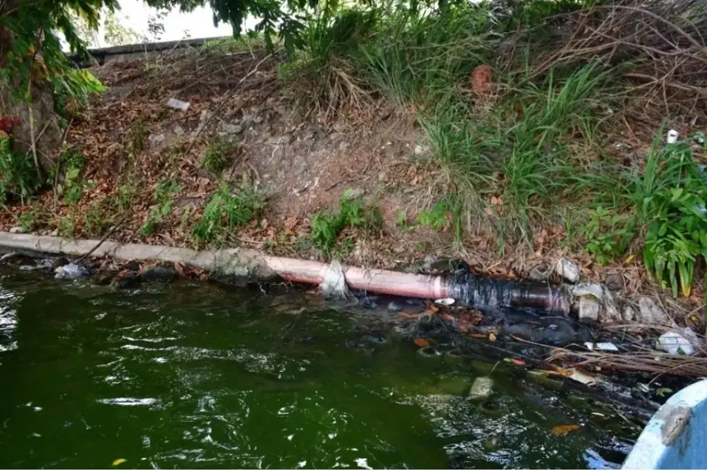 Participa en el sondeo