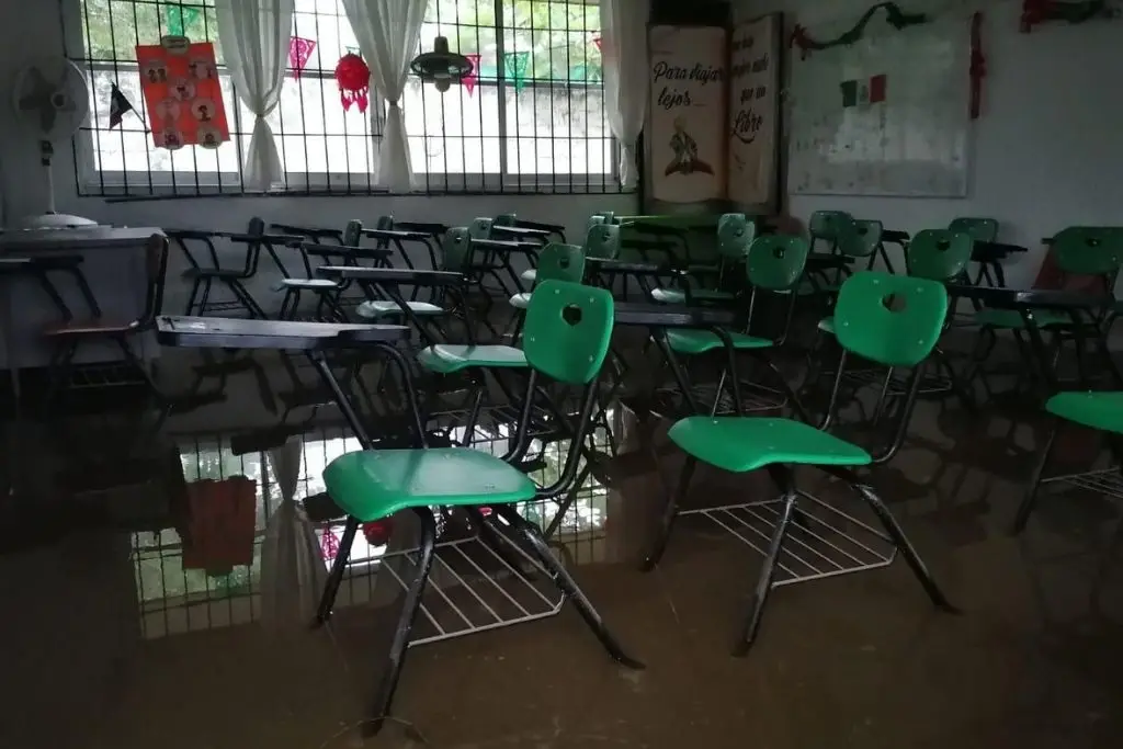 Participa en el sondeo