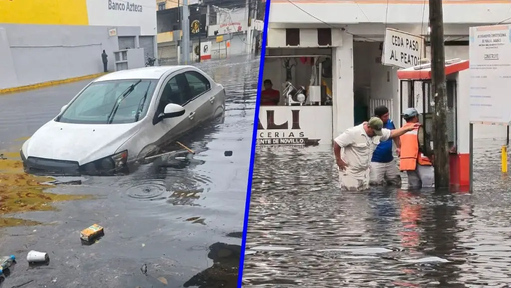 Participa en el sondeo